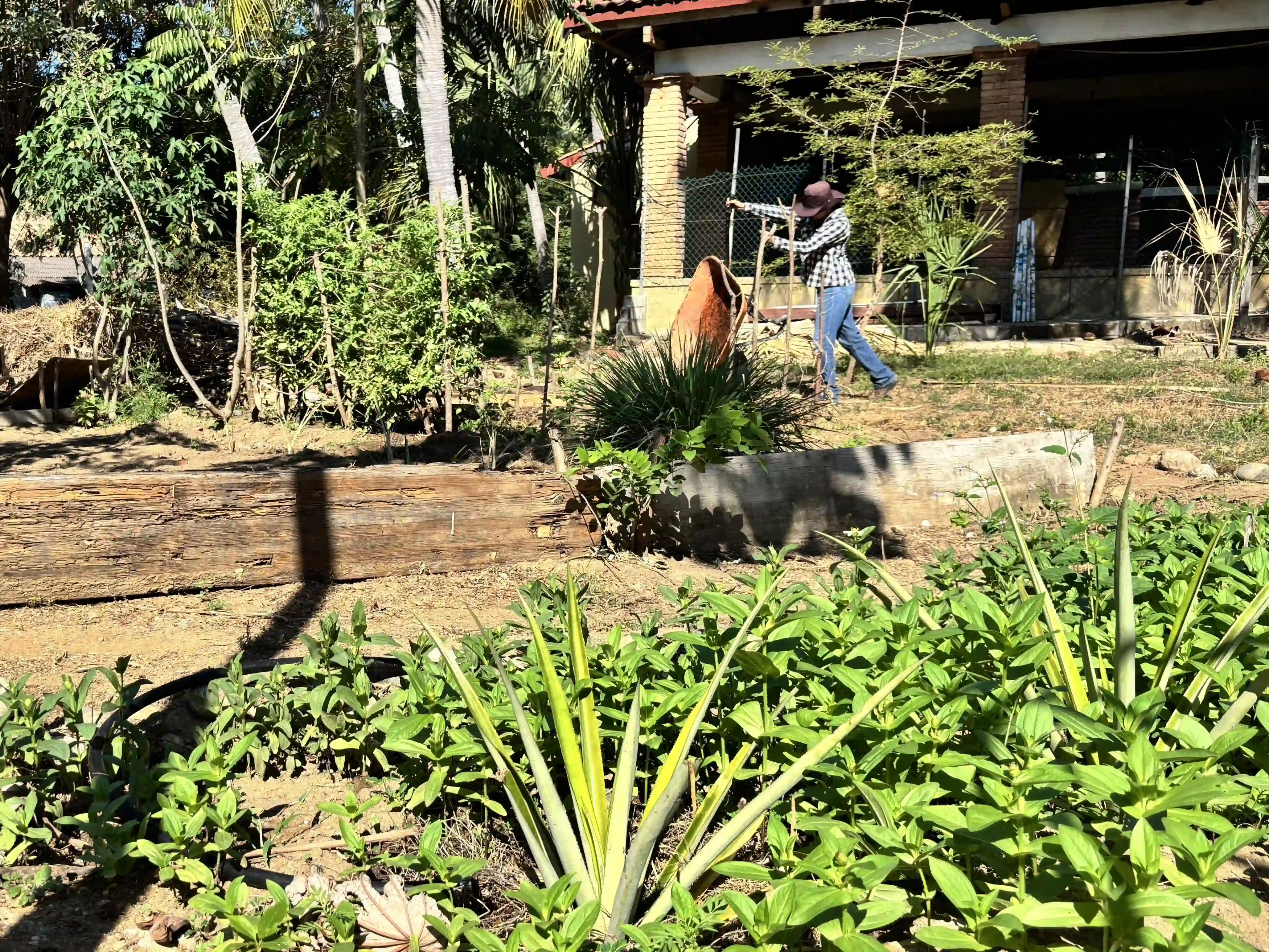 Jardin del CMT