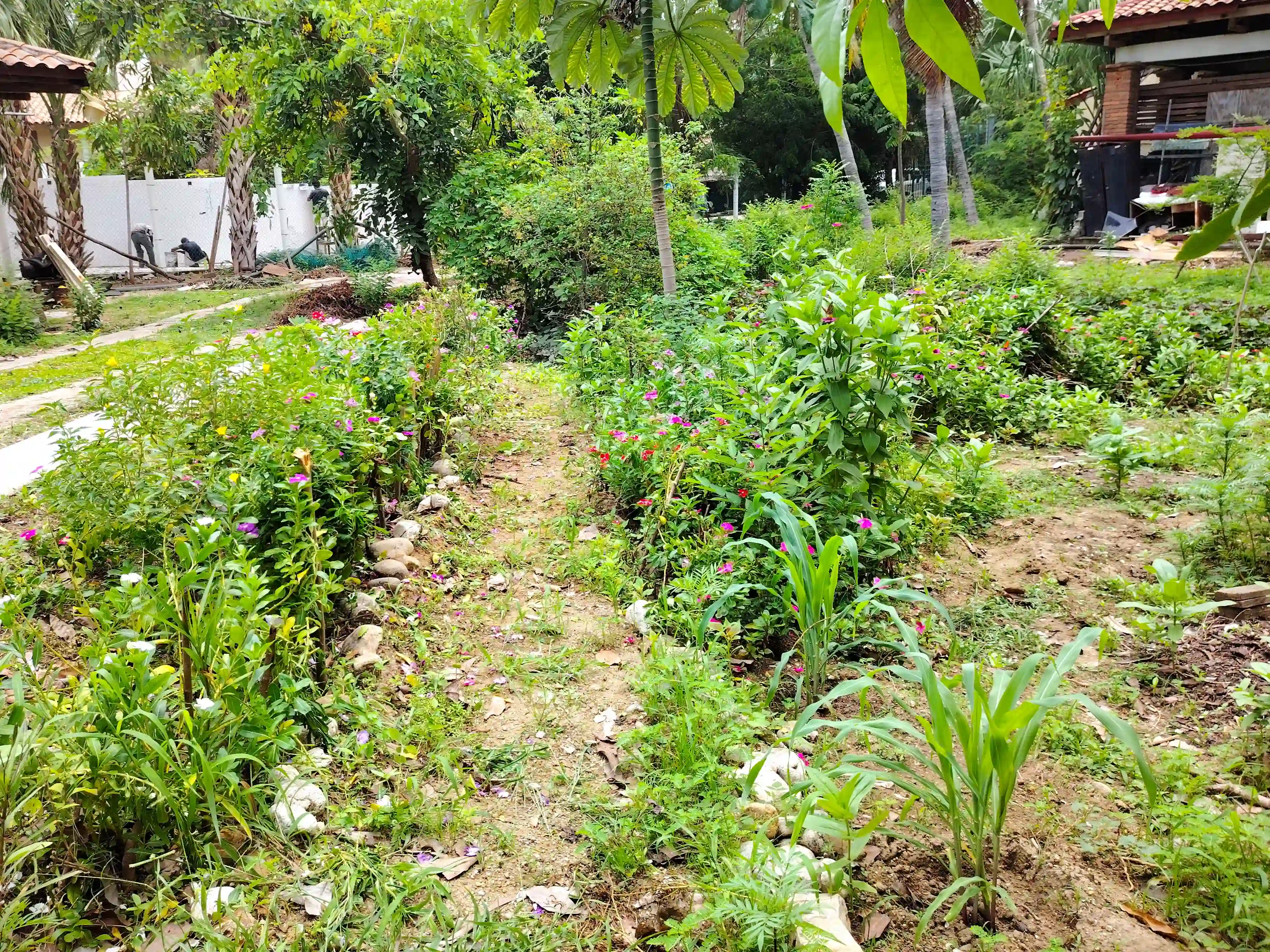 Jardin del CMT