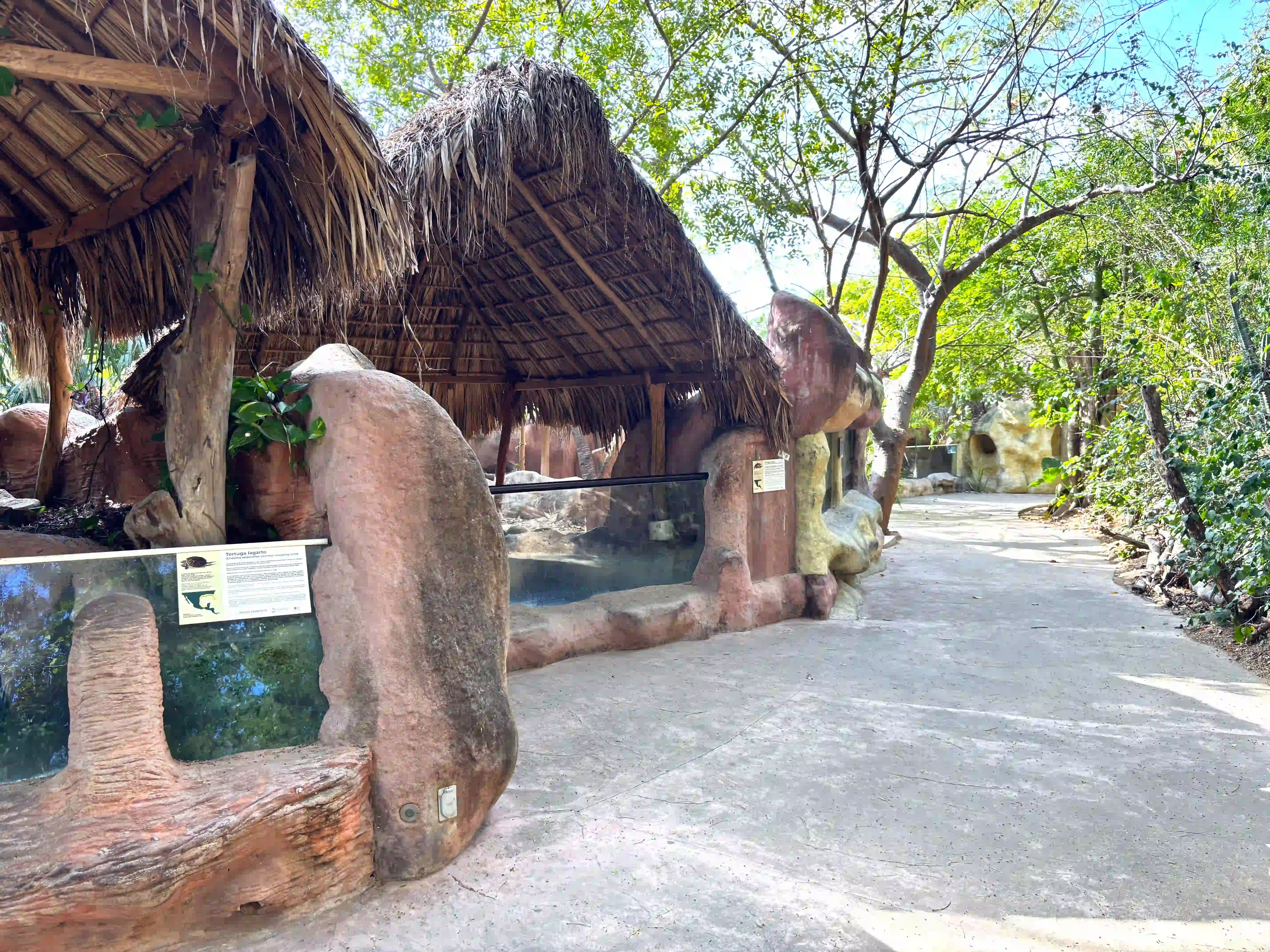 Jardin del CMT