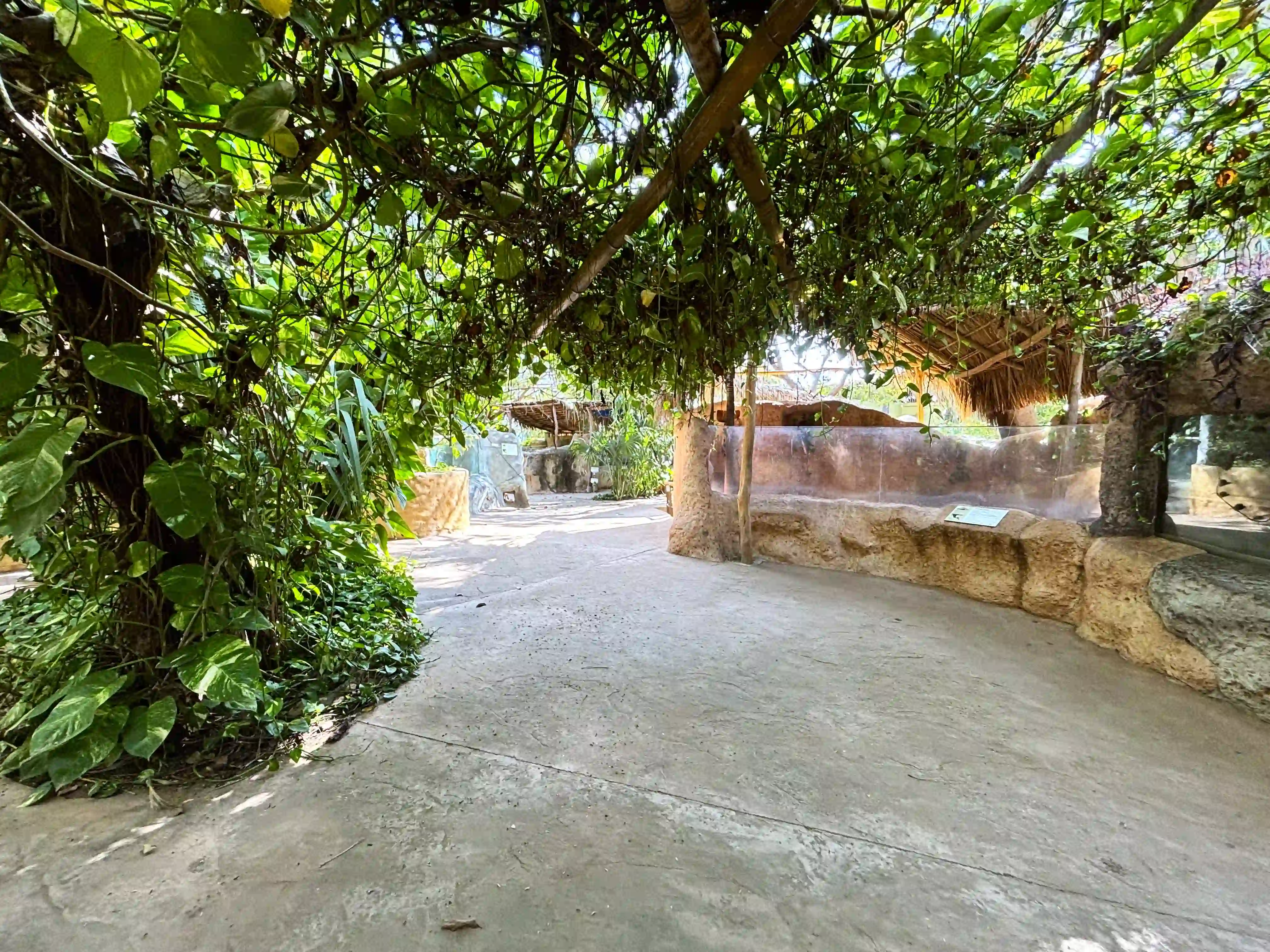 Jardin del CMT
